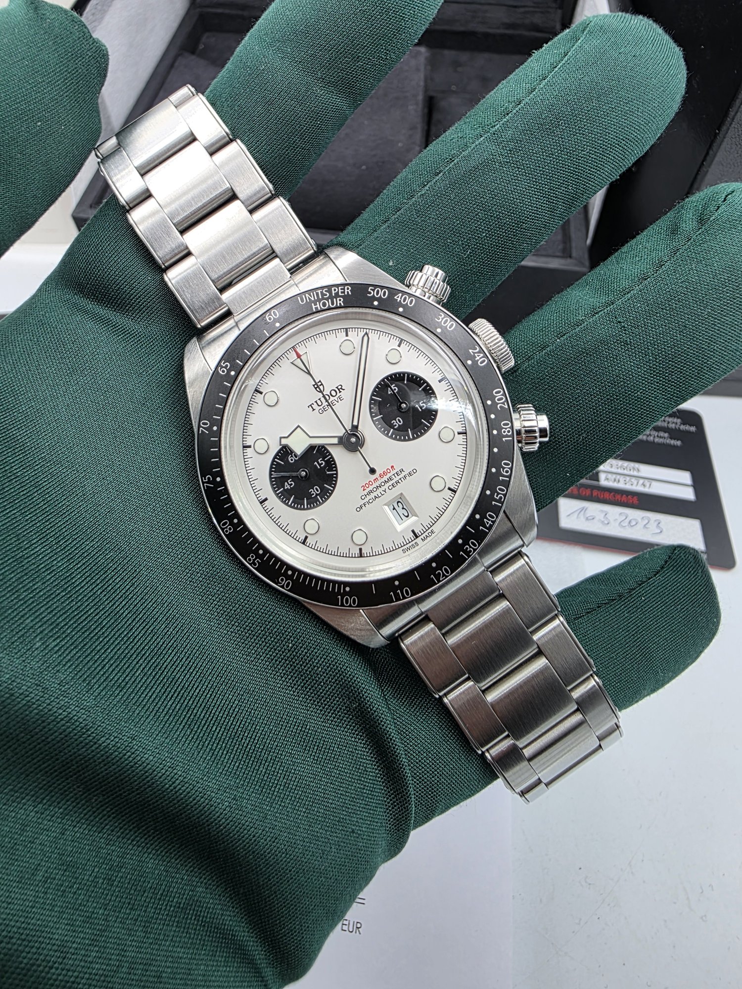 Tudor Chrono Panda